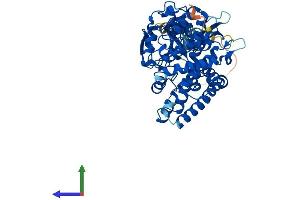 AlphaFold protein structure predicition of Mouse Recombinant Cyp19a1 Protein, UniprotID P28649 (Aromatase Protein (AA 1-503) (His tag))