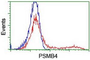 HEK293T cells transfected with either RC205723 overexpress plasmid (Red) or empty vector control plasmid (Blue) were immunostained by anti-PSMB4 antibody (ABIN2454988), and then analyzed by flow cytometry. (PSMB4 antibody)