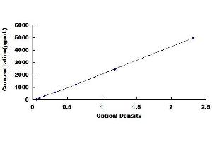 Keratin 10 ELISA Kit