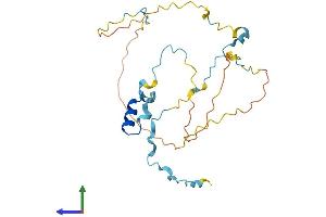 AlphaFold protein structure predicition of Human Recombinant RHNO1 Protein, UniprotID Q9BSD3