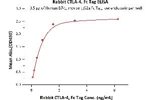 Immobilized Human B7-1, mouse IgG2a Fc Tag, low endotoxin (ABIN5674619,ABIN6253663) at 5 μg/mL (100 μL/well)can bind Rabbit CTLA-4, Fc Tag (ABIN4949198,ABIN4949199) with a linear range of 0. (CTLA4 Protein (AA 36-161) (Fc Tag))