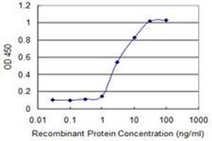 Detection limit for recombinant GST tagged FGFR1OP is 0. (FGFR1OP antibody  (AA 1-379))