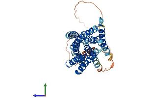 AlphaFold protein structure predicition of Human Recombinant SLC39A11 Protein, UniprotID Q8N1S5