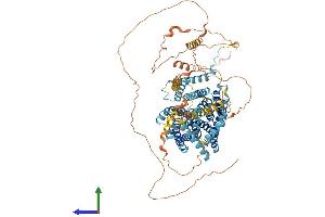 AlphaFold protein structure predicition of Human Recombinant SLC9A5 Protein, UniprotID Q14940 (SLC9A5 Protein (AA 1-896) (His tag))