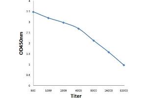 Antigen: 0. (PSMD6 antibody)