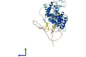 Protein Structure (PS) image for TATA Box Binding Protein (TBP)-Associated Factor, RNA Polymerase I, B, 63kDa (TAF1B) (AA 1-588) protein (His tag) (ABIN7555682)