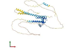 AlphaFold protein structure predicition of Mouse Recombinant Bsdc1 Protein, UniprotID Q80Y55