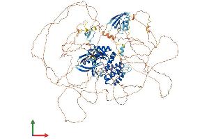 AlphaFold protein structure predicition of Human Recombinant FRMPD4 Protein, UniprotID Q14CM0