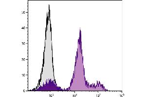 C57BL/6 mouse bone marrow cells were stained with Rat Anti-Mouse Ly-6C-FITC. (Ly6C antibody  (FITC))