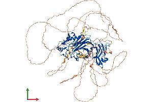 AlphaFold protein structure predicition of Human Recombinant INPP5J Protein, UniprotID Q15735 (INPP5J Protein (AA 1-1006) (His tag))