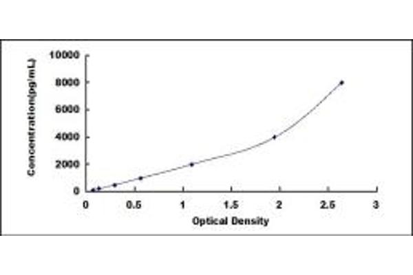 MYH7 ELISA Kit