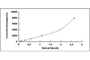 Typical standard curve (MYH7 ELISA Kit)