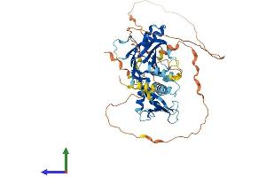 AlphaFold protein structure predicition of Human Recombinant IRF7 Protein, UniprotID Q92985 (IRF7 Protein (AA 1-503) (His tag))