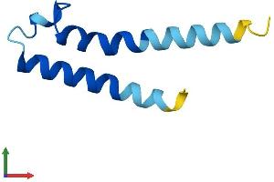 Protein Structure (PS) image for Phosphatidylinositol Glycan Anchor Biosynthesis, Class Y (PIGY) (AA 1-71) protein (Fc Tag) (ABIN7562789)