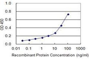 Detection limit for recombinant GST tagged MARS2 is 0. (MARS2 antibody  (AA 1-106))