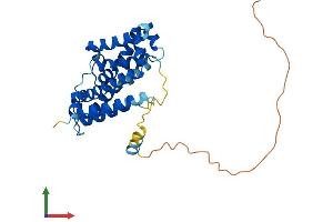 AlphaFold protein structure predicition of Human Recombinant TMEM38B Protein, UniprotID Q9NVV0