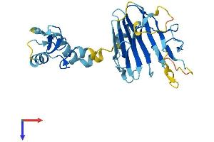 Ret Finger Protein-Like 4B (RFPL4B) (AA 1-263) protein (His tag)
