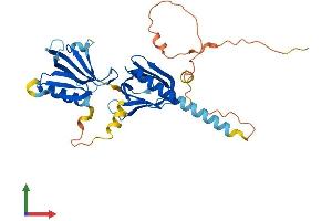 AlphaFold protein structure predicition of Human Recombinant DOK4 Protein, UniprotID Q8TEW6