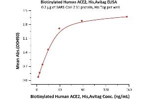 Immobilized SARS-CoV-2 S1 protein, His Tag (ABIN6952427,ABIN6952430) at 2 μg/mL (100 μL/well) can bind Biotinylated Human ACE2, His,Avitag (ABIN6972937) with a linear range of 2-40 ng/mL (QC tested).