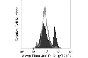 Flow Cytometry (FACS) image for anti-Polo-Like Kinase 1 (PLK1) (pThr210) antibody (Alexa Fluor 488) (ABIN1177154) (PLK1 antibody  (pThr210) (Alexa Fluor 488))