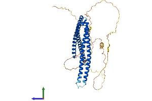 AlphaFold protein structure predicition of Human Recombinant SH3BP5 Protein, UniprotID O60239