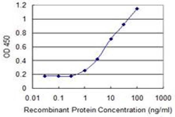 ARID5B antibody  (AA 1483-1582)