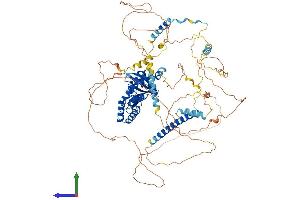 Protein Structure (PS) image for Axin 1 (AXIN1) (AA 1-862) protein (His tag) (ABIN7552498)