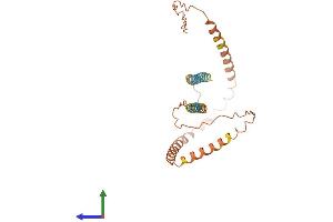 AlphaFold protein structure predicition of Human Recombinant CDR1 Protein, UniprotID P51861 (CDR1 Protein (AA 1-262) (His tag))