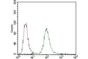 Flow cytometric analysis of Hela cells using PPP1R1B mouse mAb (green) and negative control (red). (DARPP32 antibody  (AA 95-204))