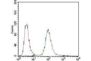 Flow cytometric analysis of Hela cells using PPP1R1B mouse mAb (green) and negative control (red).