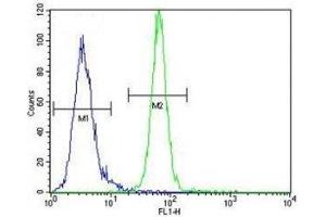 AKT1 antibody flow cytometric analysis of MDA-MB435 cells (right histogram) compared to a negative control (left histogram). (AKT1 antibody  (AA 438-468))