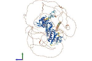 AlphaFold protein structure predicition of Mouse Recombinant Rc3h2 Protein, UniprotID P0C090 (RC3H2 Protein (AA 1-1187) (His tag))