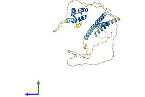 AlphaFold protein structure predicition of Human Recombinant MEIS1 Protein, UniprotID O00470 (MEIS1 Protein (AA 1-390) (His tag))
