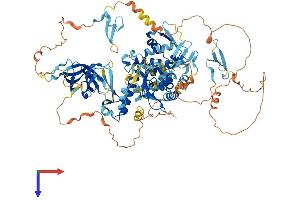 AlphaFold protein structure predicition of Mouse Recombinant Nedd4 Protein, UniprotID P46935 (NEDD4 Protein (AA 1-887) (His tag))
