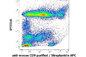 Flow cytometry multicolor surface staining pattern of murine splenocyte suspension stained using anti-mouse CD9 (EM-04) Biotin antibody (concentration in sample 2 μg/mL, Streptavidin APC) and SYTO16.