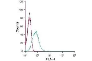 Cell surface detection of Corticotropin-releasing factor receptor 2 in live intact HL-60 (human promyelocytic leukemia) cells: (black line) Cells. (CRHR2 antibody  (Extracellular))