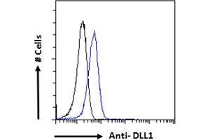 ABIN361190 Flow cytometric analysis of paraformaldehyde fixed HeLa cells (blue line), permeabilized with 0. (DLL1 antibody  (Internal Region))
