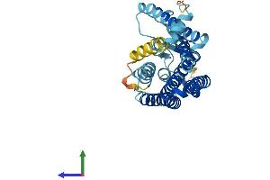 AlphaFold protein structure predicition of Human Recombinant OR6B2 Protein, UniprotID Q6IFH4 (OR6B2 Protein (AA 1-312) (His tag))
