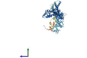 AlphaFold protein structure predicition of Human Recombinant ARHGEF37 Protein, UniprotID A1IGU5