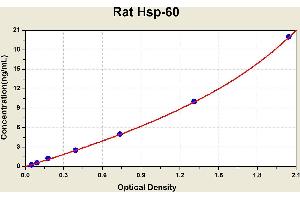 Diagramm of the ELISA kit to detect Rat Hsp-60with the optical density on the x-axis and the concentration on the y-axis. (HSPD1 ELISA Kit)