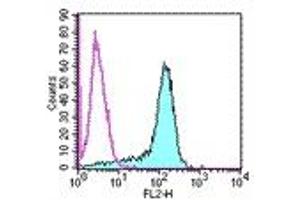 Image no. 2 for anti-Programmed Cell Death 1 Ligand 2 (PDCD1LG2) antibody (PE) (ABIN474675) (PDCD1LG2 antibody  (PE))