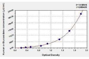 Typical standard curve (AGLU ELISA Kit)