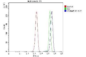 Flow Cytometry analysis of ANA-1 cells using anti-YWHAE antibody (ABIN7599165). (YWHAE antibody  (AA 1-255))