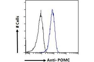 Flow Cytometry (FACS) image for anti-Proopiomelanocortin (POMC) (C-Term) antibody (ABIN185387)