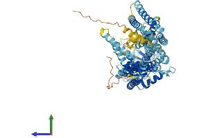 AlphaFold protein structure predicition of Mouse Recombinant Slc44a3 Protein, UniprotID Q921V7 (SLC44A3 Protein (AA 1-656) (His tag))