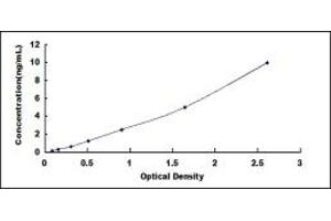 Typical standard curve (CX3CR1 ELISA Kit)