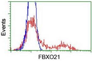 Flow Cytometry (FACS) image for anti-F-Box Protein 21 (FBXO21) antibody (ABIN1498237) (FBXO21 antibody)
