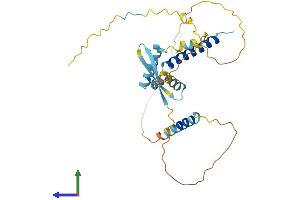 Protein Structure (PS) image for Craniofacial Development Protein 1 (CFDP1) (AA 1-295) protein (His tag) (ABIN7562588)