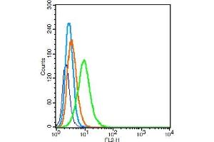 Flow Cytometry (FACS) image for anti-Oxidized Low Density Lipoprotein (Lectin-Like) Receptor 1 (OLR1) (AA 201-273) antibody (ABIN676988)