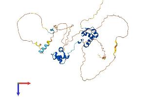 PAX5 Protein (AA 1-391) (His tag)